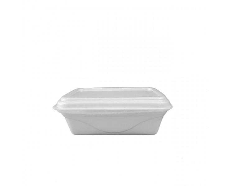 DARNEL BANDEJA TERMICA DM 70 X500 ML (XU.)