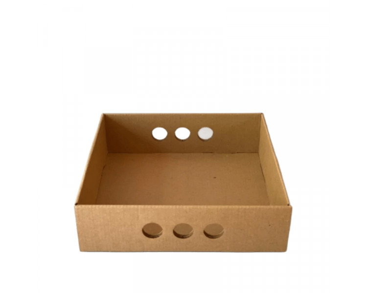 BANDEJA PARA DESAYUNO/CATERING KRAFT 30 X 30 X 7 CM