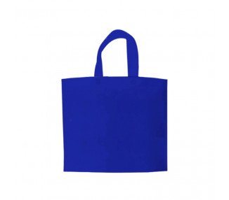 BOLSAS TNT EXTRA PEQUEÑA AZUL FRANCIA 30X30 (X1)