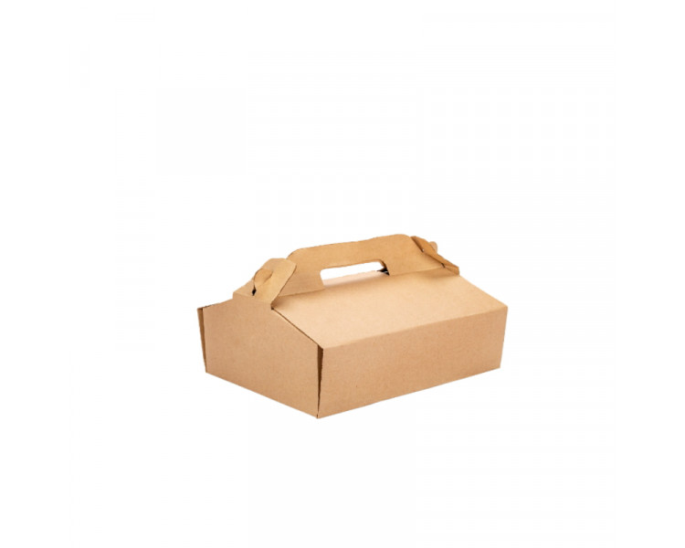 MALETIN CARTON CHICO (X1)