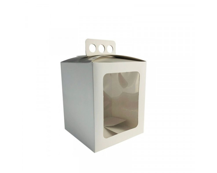 CAJA PAN DULCE MICRO LISO C/VISOR X1KG 17X17X20 XU