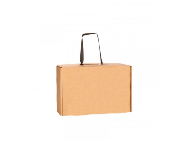 CAJA BOX MULTIPROP.J MICRO C/IMP.Y MANIJ 28X17X10